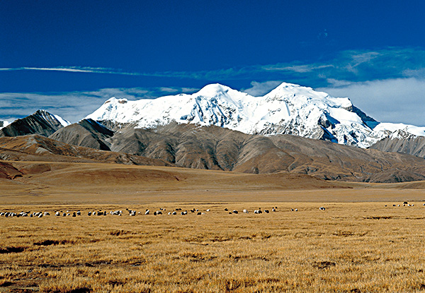 チベット高原